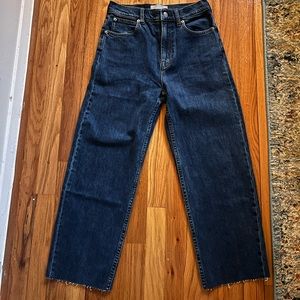 Everlane The Way-High Jean